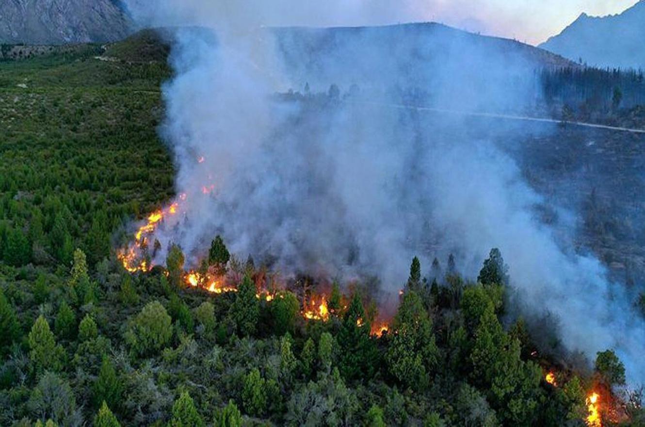 El Gobierno busca endurecer las penas para quienes inicien incendios intencionalmente