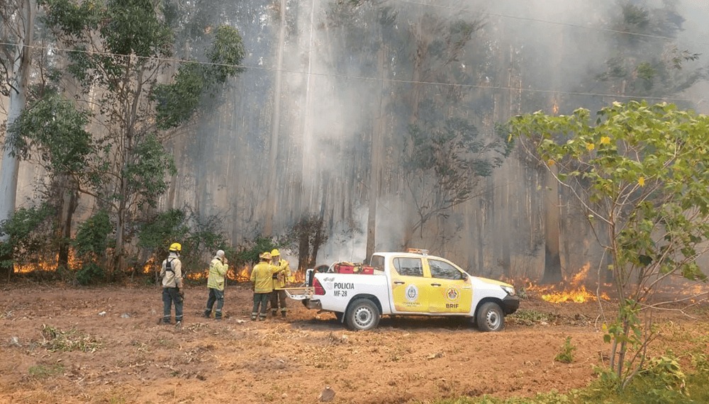 El Gobierno lanza la Agencia Federal de Emergencias para enfrentar desastres naturales