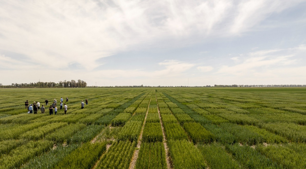 El Gobierno Nacional simplificó el registro de variedades vegetales
