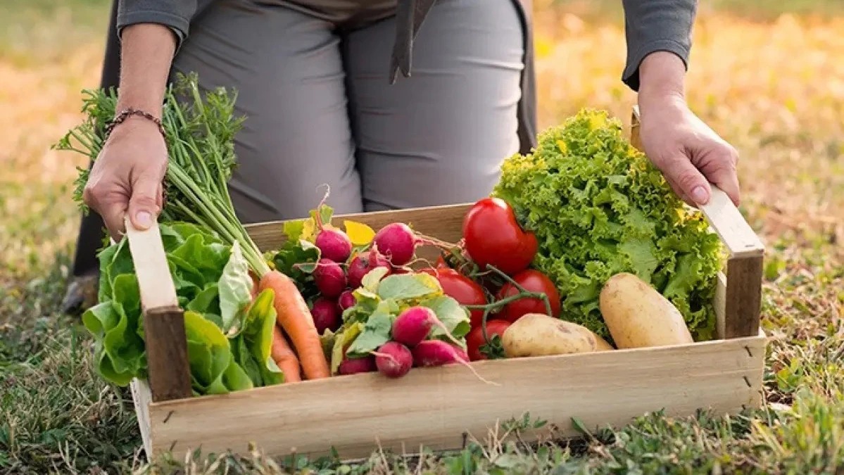 Del campo a la góndola, los precios de los agroalimentos se multiplicaron por 3,8 veces en enero
