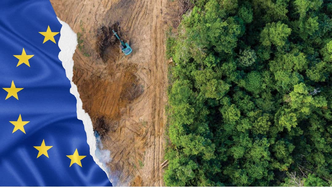 El agro argentino desafía la normativa antideforestación de la UE: 