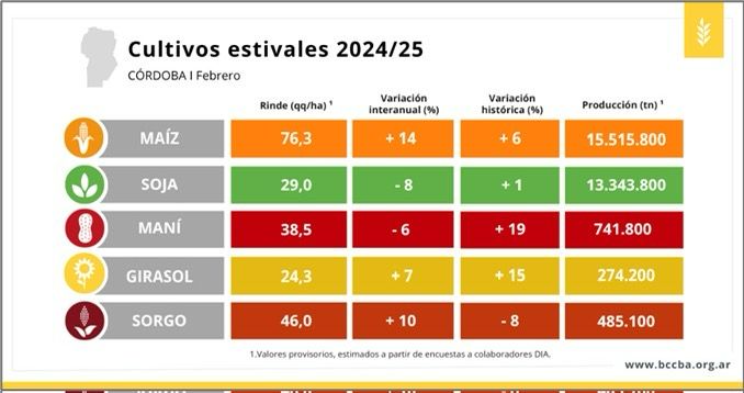 Córdoba en Etapa Clave: Se Definen los Rendimientos de 30,4 Millones de Toneladas


