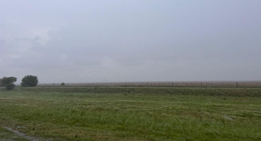 Semana clave de lluvias: la Bolsa de Rosario destaca su impacto en la recuperación de los cultivos
