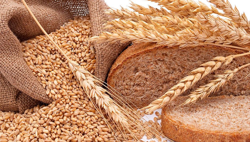 Pese a la férrea oposición del sector, el gobierno oficializó la creación de un fideicomiso para el trigo