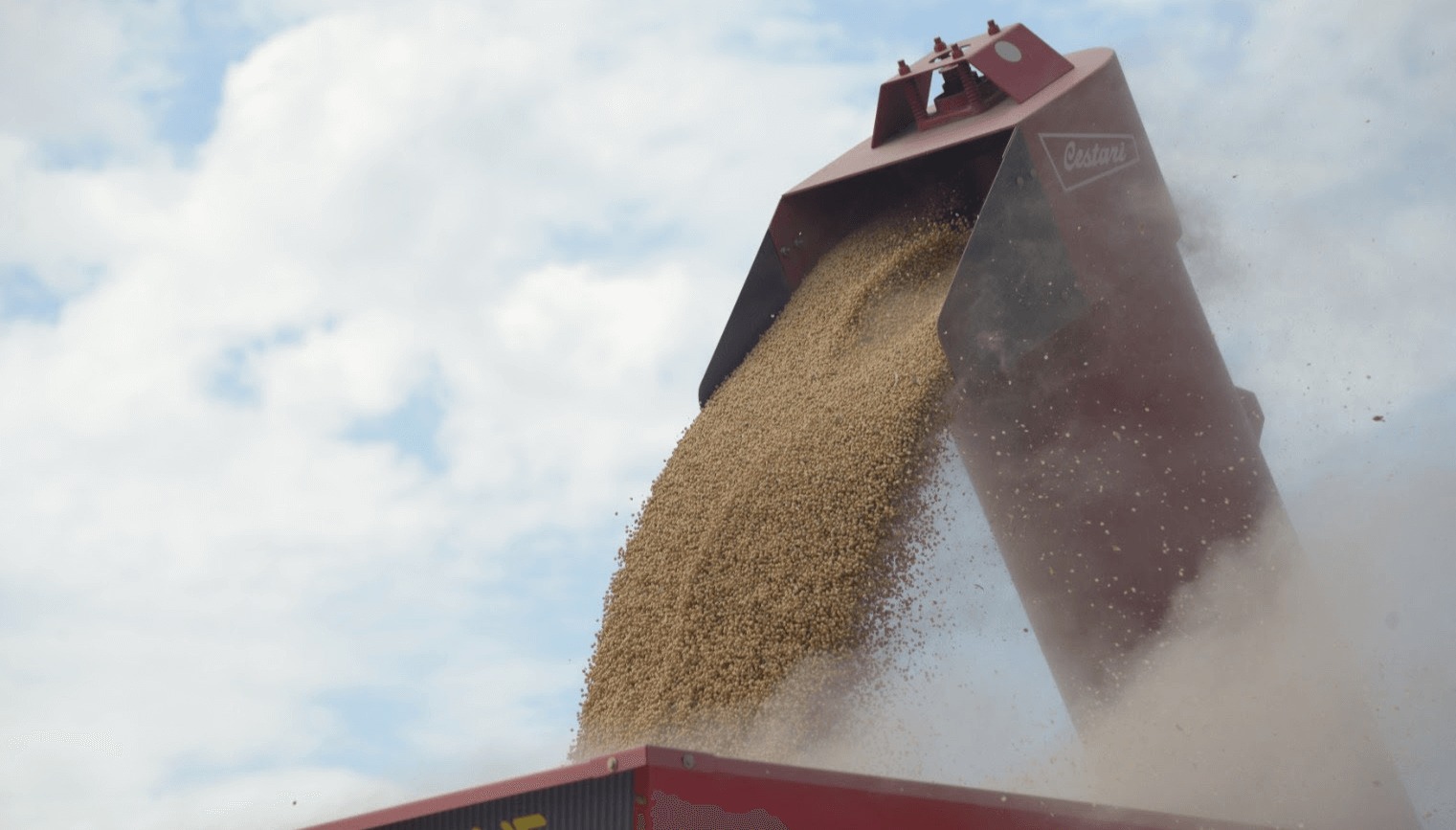 El PBI agropecuario creció 31,3% y atenuó la caída económica de 2024