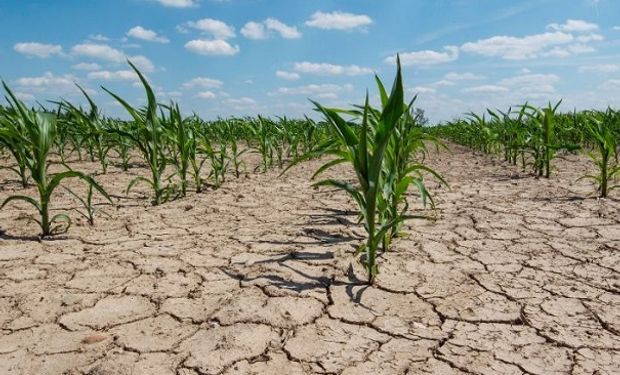 La sequía que provocó La Niña continuará hasta mayo