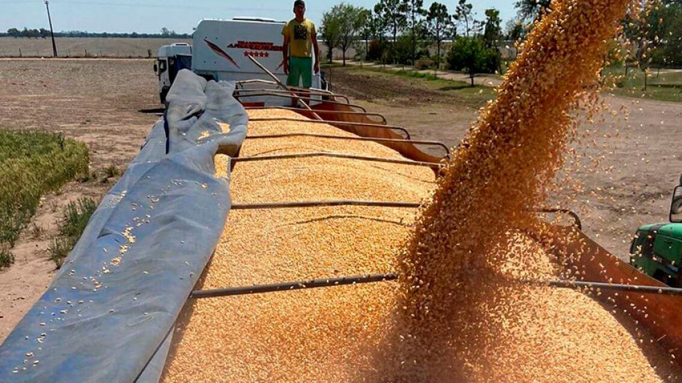 Córdoba, tercera provincia en generación de divisas por exportaciones en Argentina