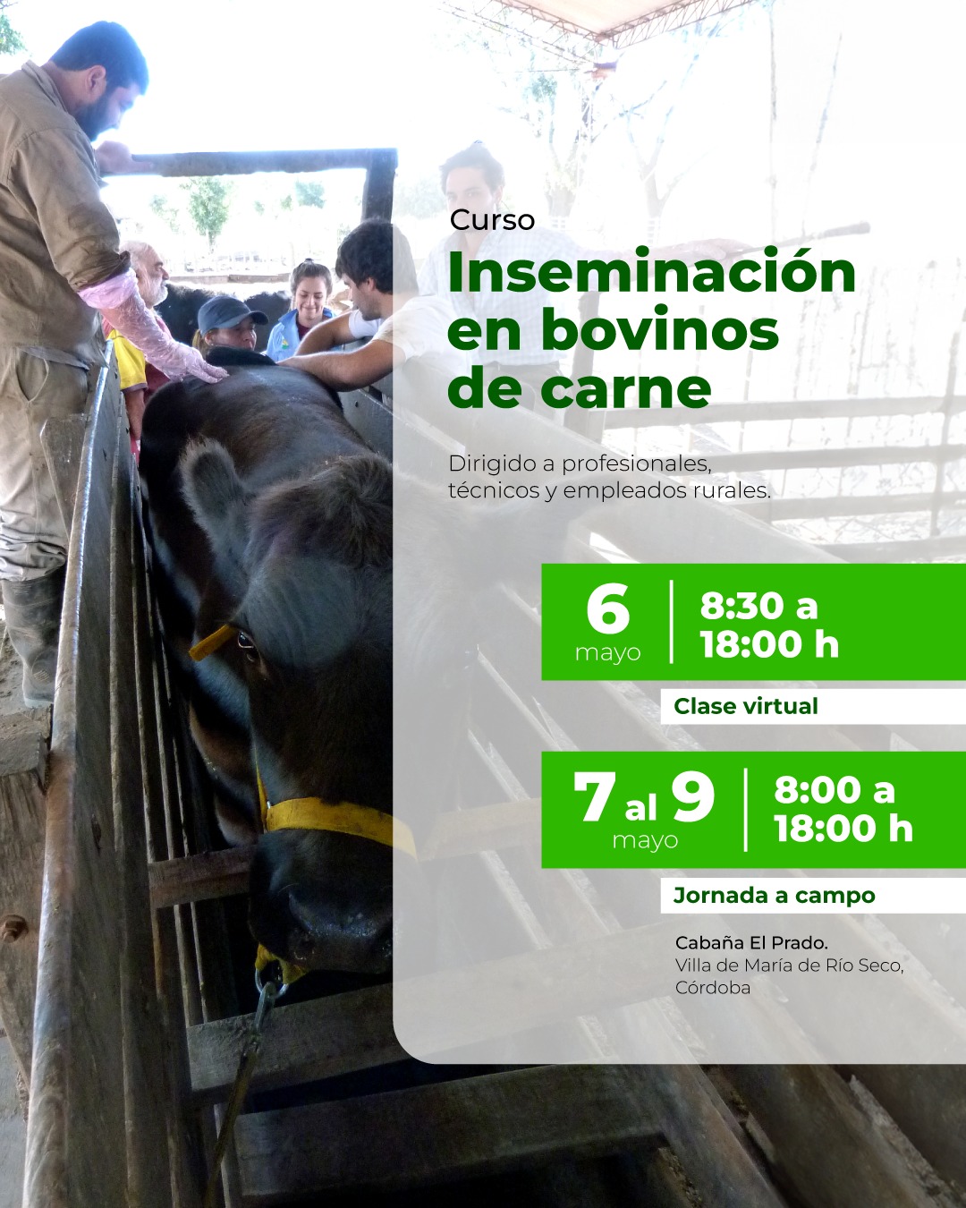 Curso de inseminación en bovinos de carne