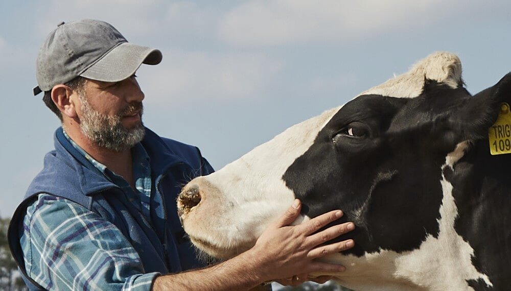 La lechería vive un gran repunte productivo y esperan un primer semestre “de fuerte crecimiento”
