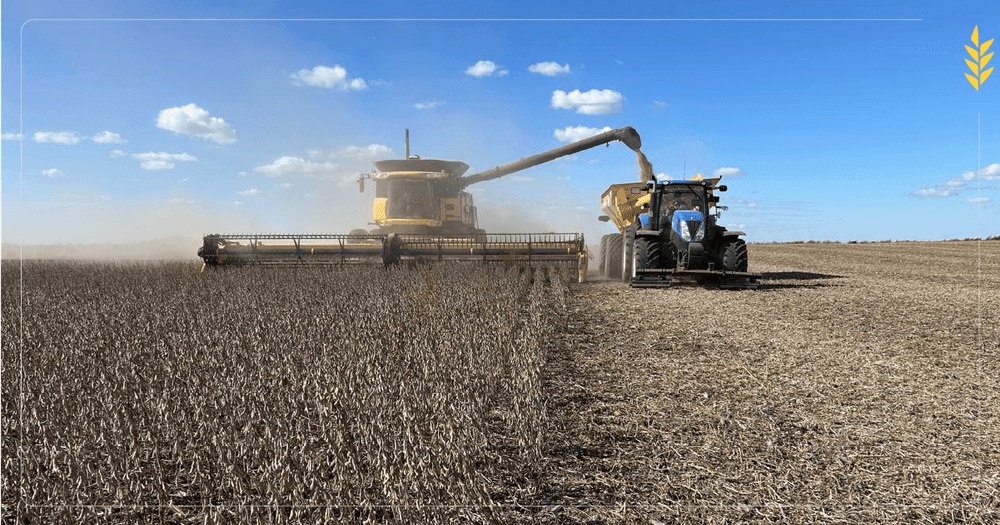 Córdoba: Pese al ritmo lento de cosecha, la soja proyecta su mejor producción en seis años

