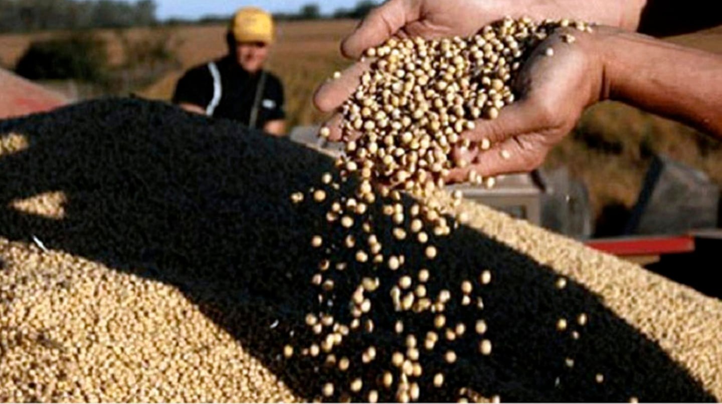 La tregua en la guerra comercial y datos de stocks mundiales impulsaron subas de la soja en Chicago