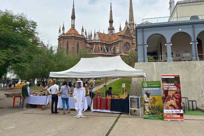 Del 15 al 18 de mayo Córdoba se suma a la Semana Nacional de la Miel