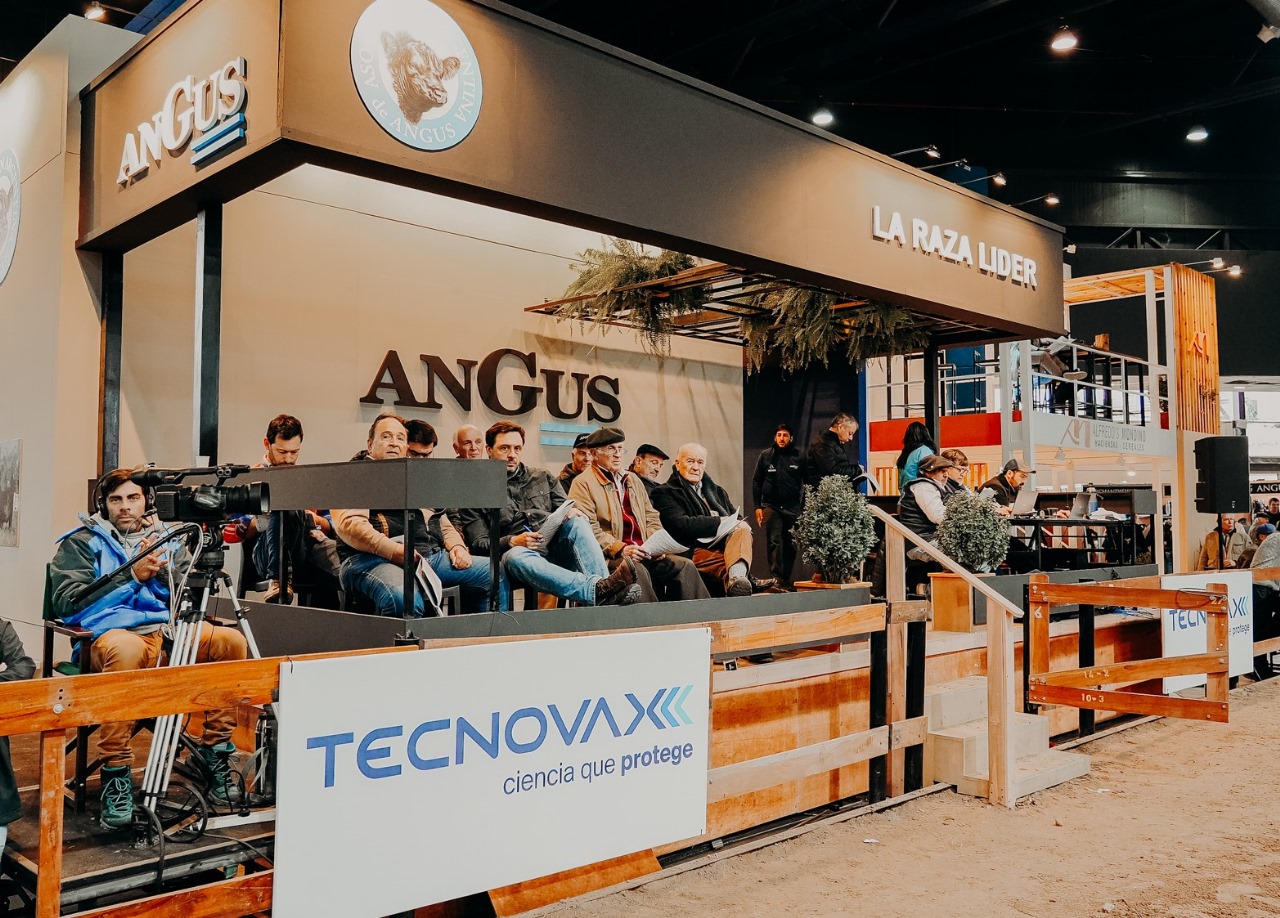 Expo Angus de Otoño 2025 garantiza la sanidad de sus ejemplares con la guardia veterinaria de Tecnovax