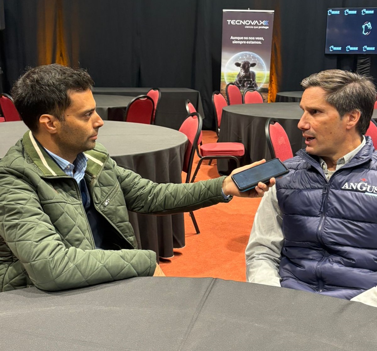 Semana Angus de otoño: Más de 500 animales, 50 expositores y una pasión ganadera que no se detiene