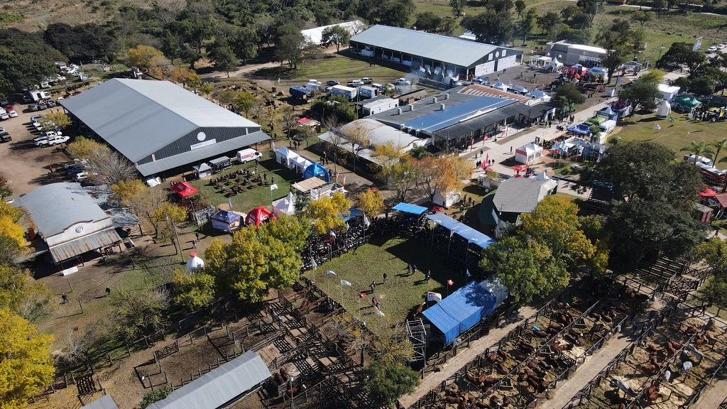 Más de 1200 animales desfilarán por las Nacionales
