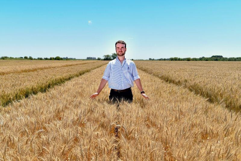 Don Mario con nuevas variedades para una campaña triguera desafiante

