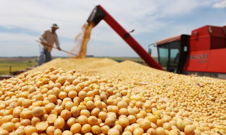 El Gobierno cerró las exportaciones de aceite y harina de soja previo a un aumento de las retenciones