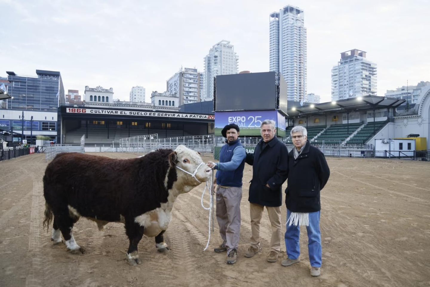 “Escocés”, el toro de una tonelada que abrió las tranqueras de la Expo Rural 2025