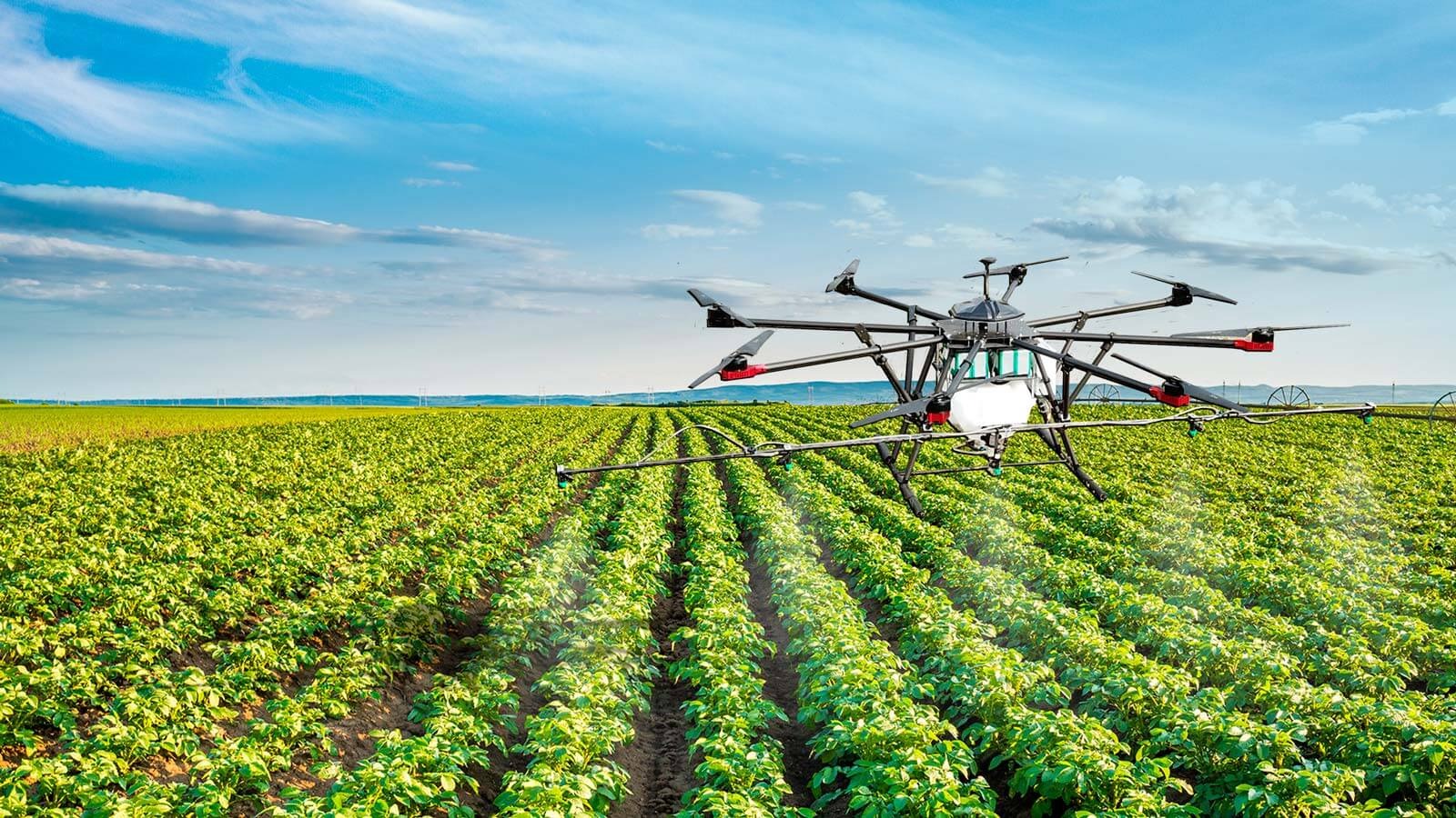 Tras el julio más lluvioso en 40 años y la baja de retenciones, el agro debate entre más tecnología o más superficie