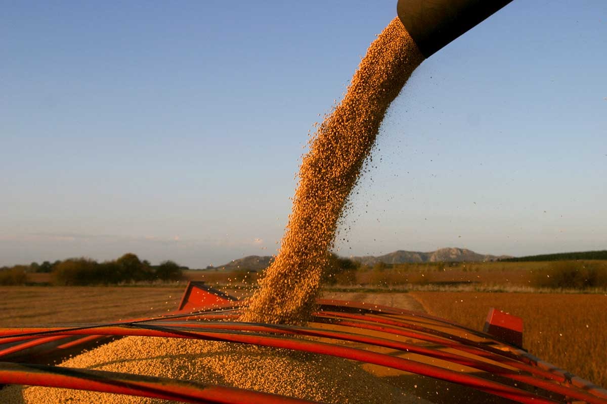 “¿Esto es igualdad?”: el campo estalla tras el beneficio impositivo a la minería