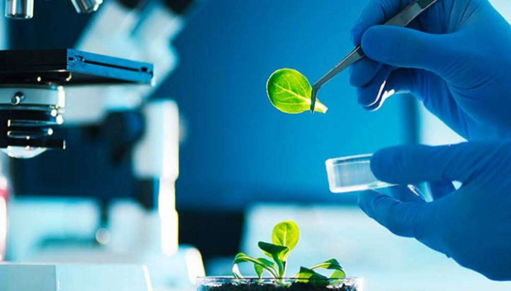 Con un crecimiento del 10,9% anual, CASAFE presentó en Aapresid el potencial de los bioinsumos en el agro argentino