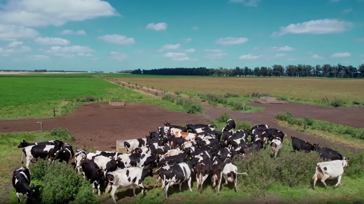 Ganadores de Legado 2025: Innovación con impacto para transformar la salud y el agro en Cono Sur