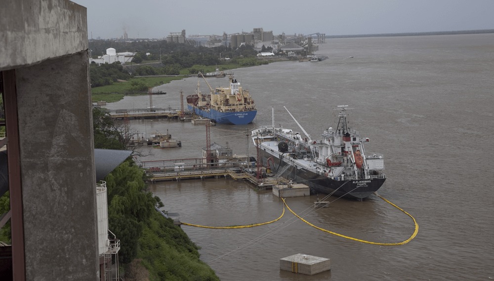 Los barcos hacen fila en el Gran Rosario: la soja argentina vive un mini “boom” exportador