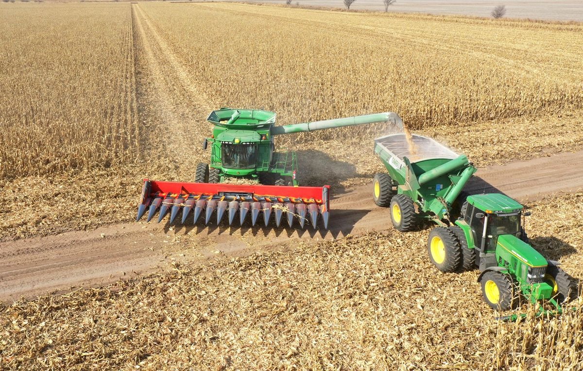 La baja de retenciones les devuelve al menos US$ 31 por hectárea a los productores