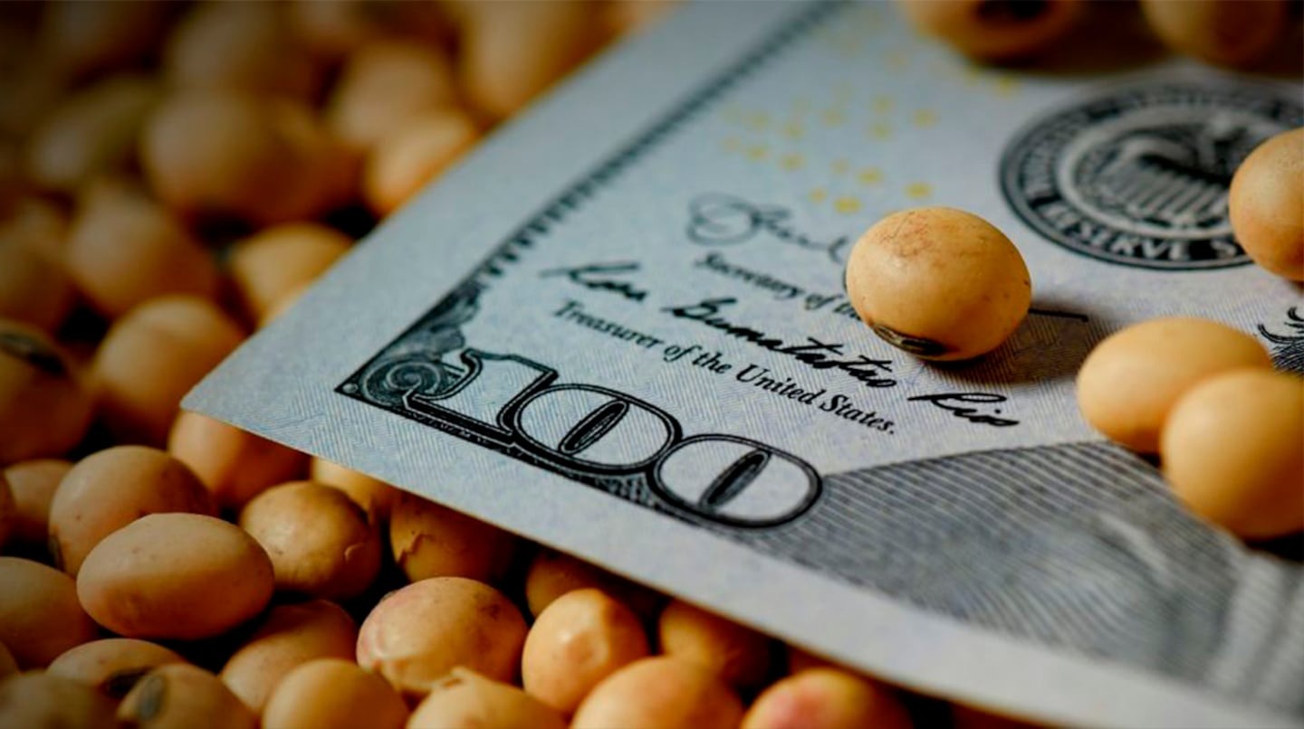 La soja llegó a $400 mil en Rosario: subió a contramano de Chicago, impulsada por la suba del dólar
