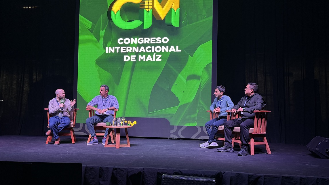 El maíz duplicó su rendimiento en 30 años gracias a la genética y la innovación