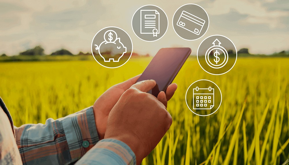 “El campo se dolariza: seis de cada diez créditos ya están en moneda extranjera”