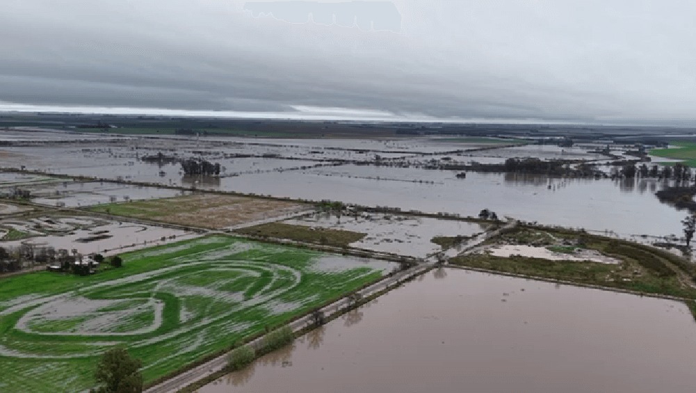 Tormenta de Santa Rosa: lluvias históricas de hasta 300 mm provocaron graves daños en la región