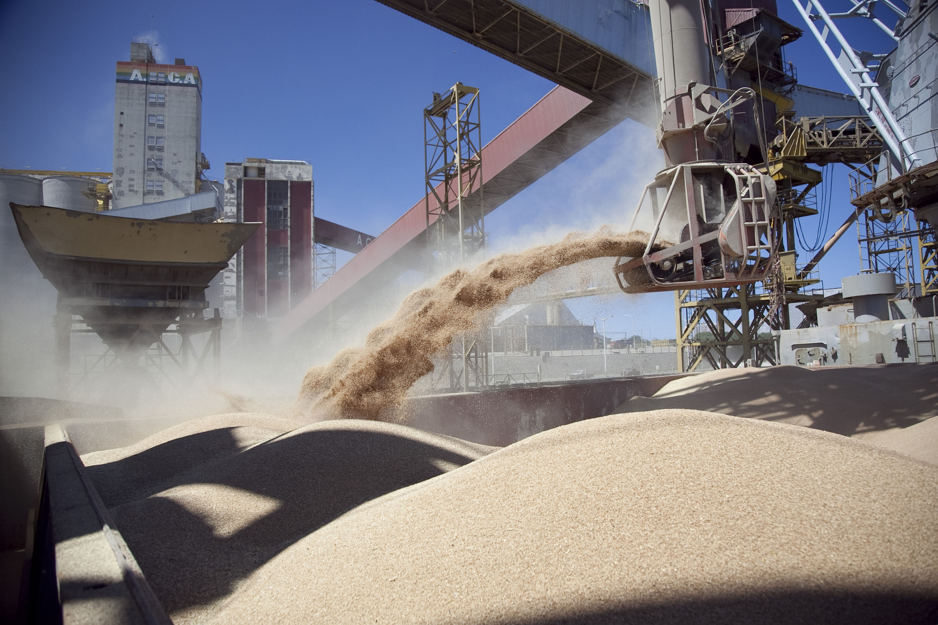 Agricultura reabrió el registro de Declaraciones Juradas de Venta al Exterior de harina y aceite de soja