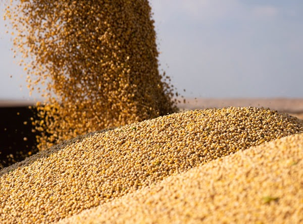 Seminario ACSOJA 2025: la soja como aliada en la alimentación animal y la innovación agroindustrial