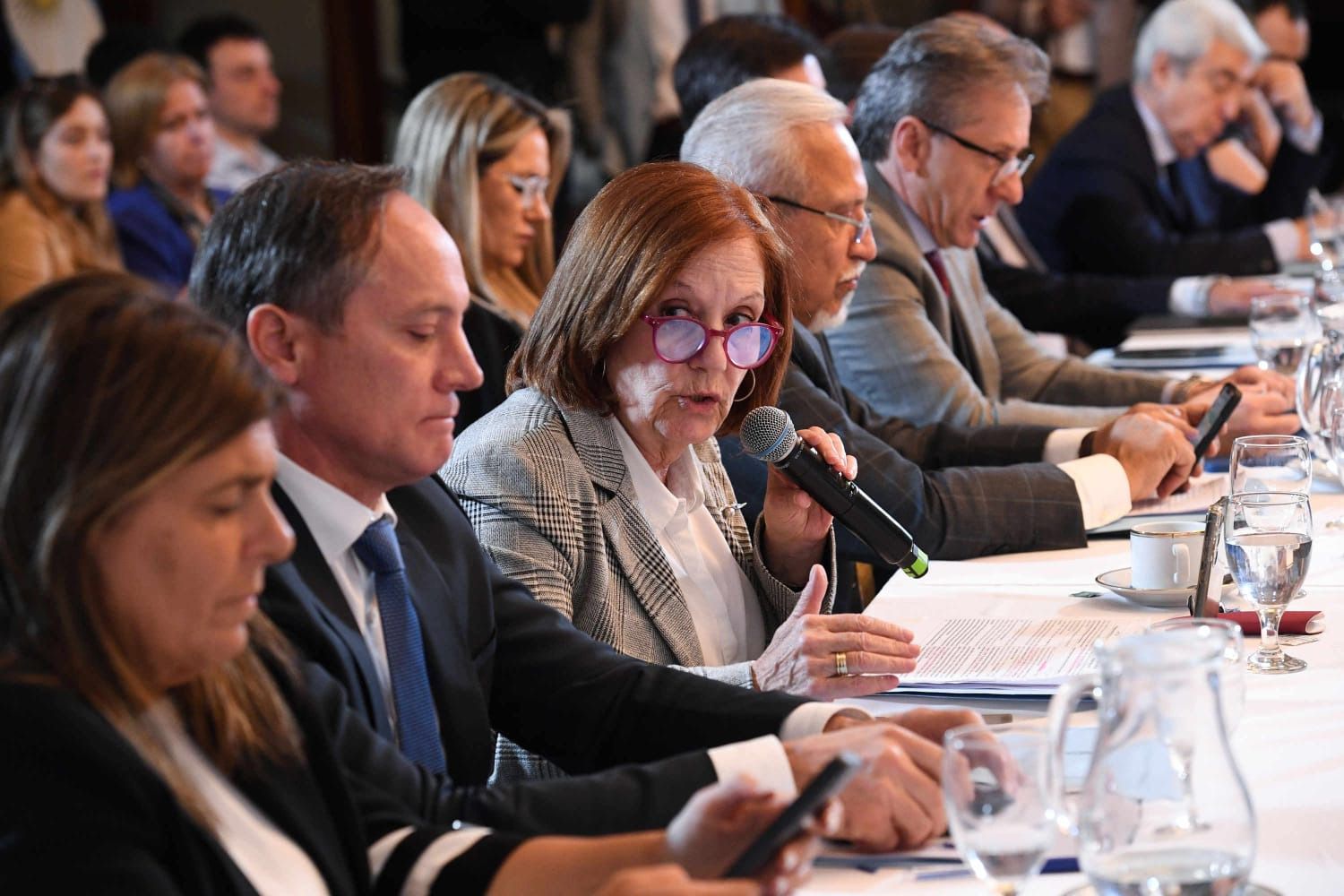 En comisión, el Senado trató el proyecto de Vigo que eleva el corte de biocombustibles