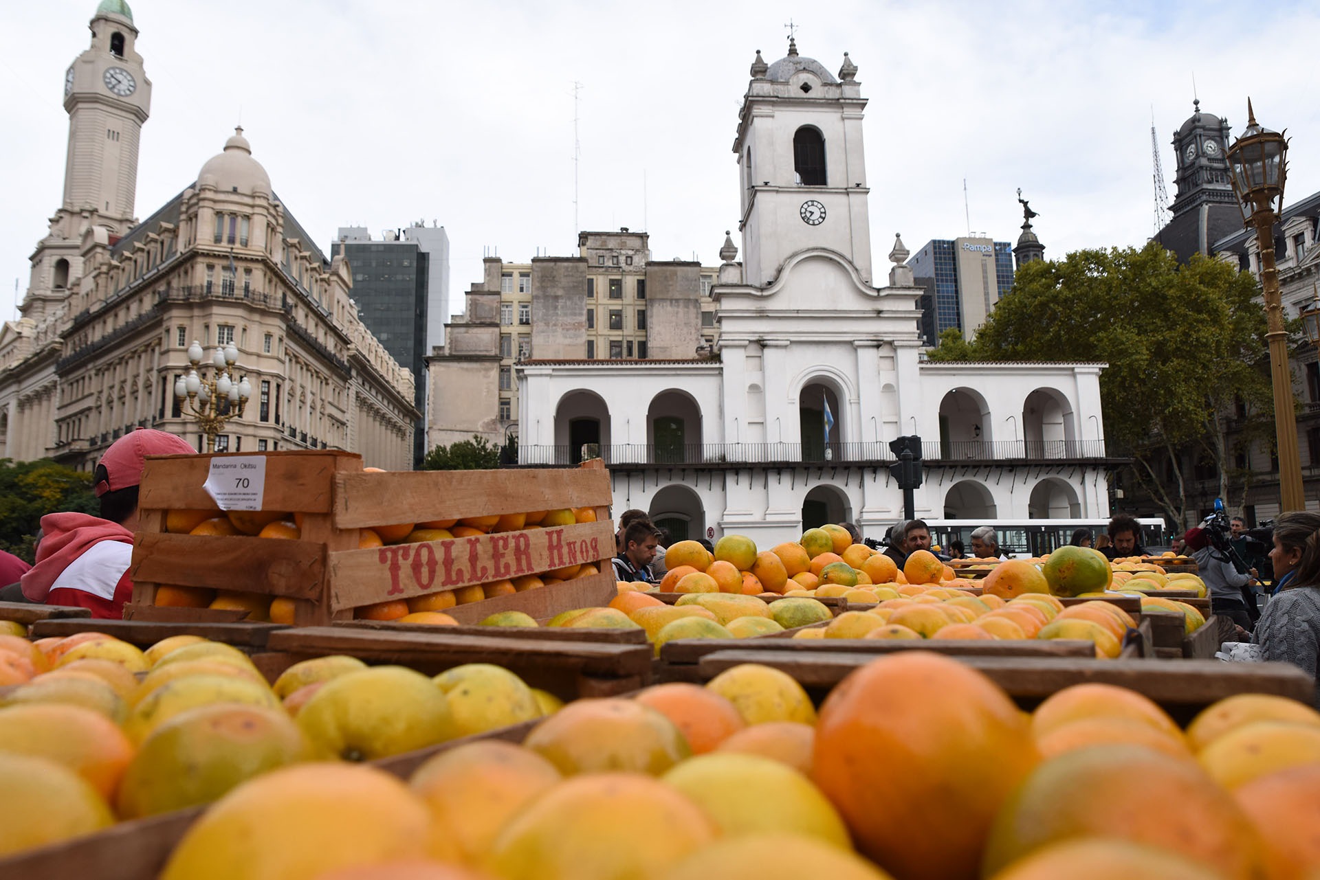Alimentazo en Plaza de Mayo: Pequeños Productores Entregarán 20.000 Kilos de Alimentos en Protesta
