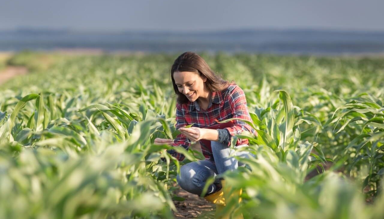 Dia internacional de las mujeres rurales: Ellas no sólo cultivan la tierra, también siembran futuro