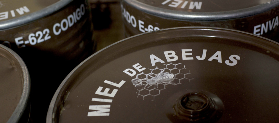 Récord en exportaciones apícolas: la miel impulsa los mejores números en 7 años