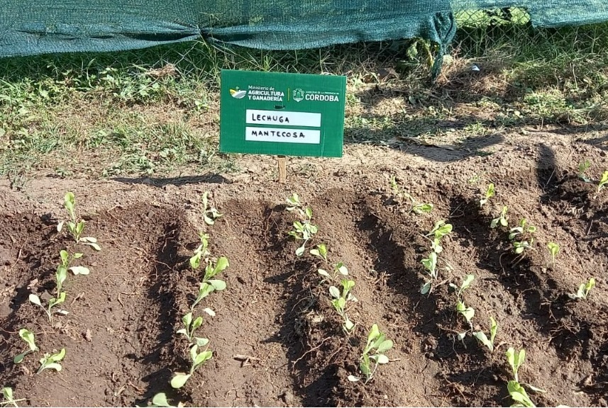 Huerta en tu Hogar: Se lanzó la temporada otoño-invierno