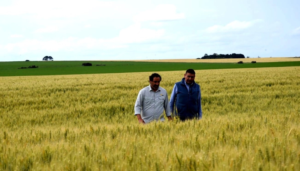 El campo de Córdoba  lee las urnas: “Una renovación de confianza, no un cheque en blanco”