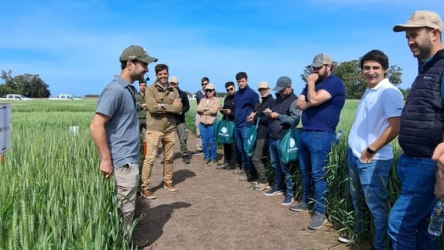 DONMARIO lanza su jornada DONMARIOMÁS Trigo 2025: Innovación genética y estrategias para alcanzar rindes históricos