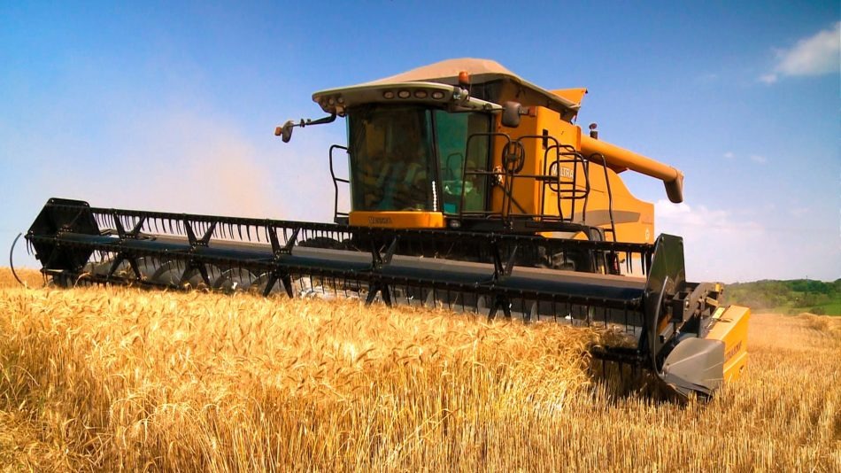 La actividad económica mostró estabilidad en septiembre