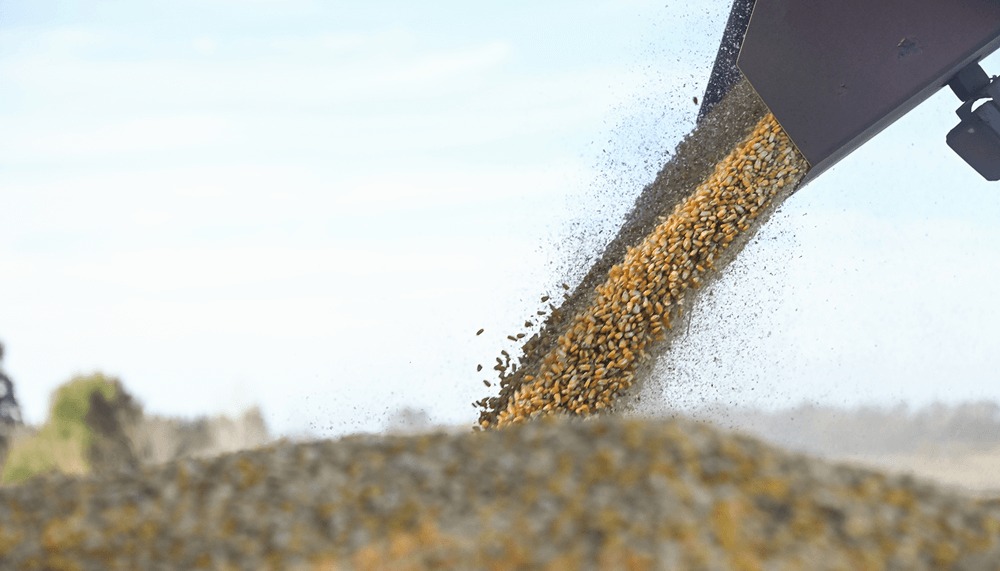 Argentina se afianza como el Tercer mayor Exportador mundial de Maíz, con Asia consolidada como principal comprador