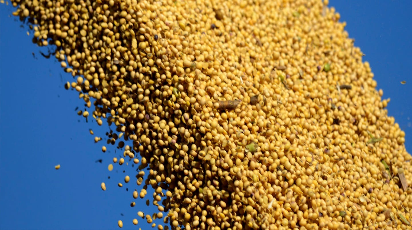 La harina de soja argentina representa el 35% del mercado global, con Asia y Medio Oriente en auge