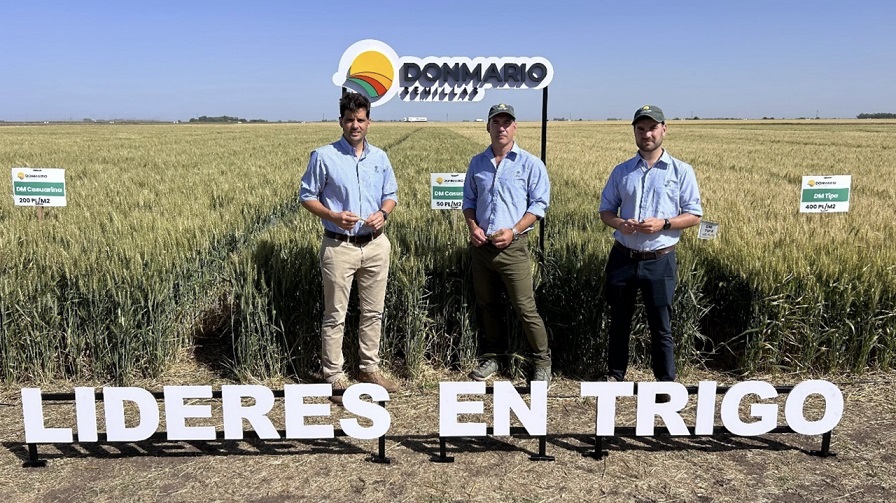 La marca líder en trigo proyectó el futuro del cultivo en su Jornada DONMARIOMÁS
