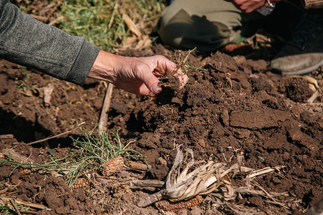 Florencia Moresco detalla la fórmula de 4 pasos para que los productores dejen de perder dinero por sus suelos