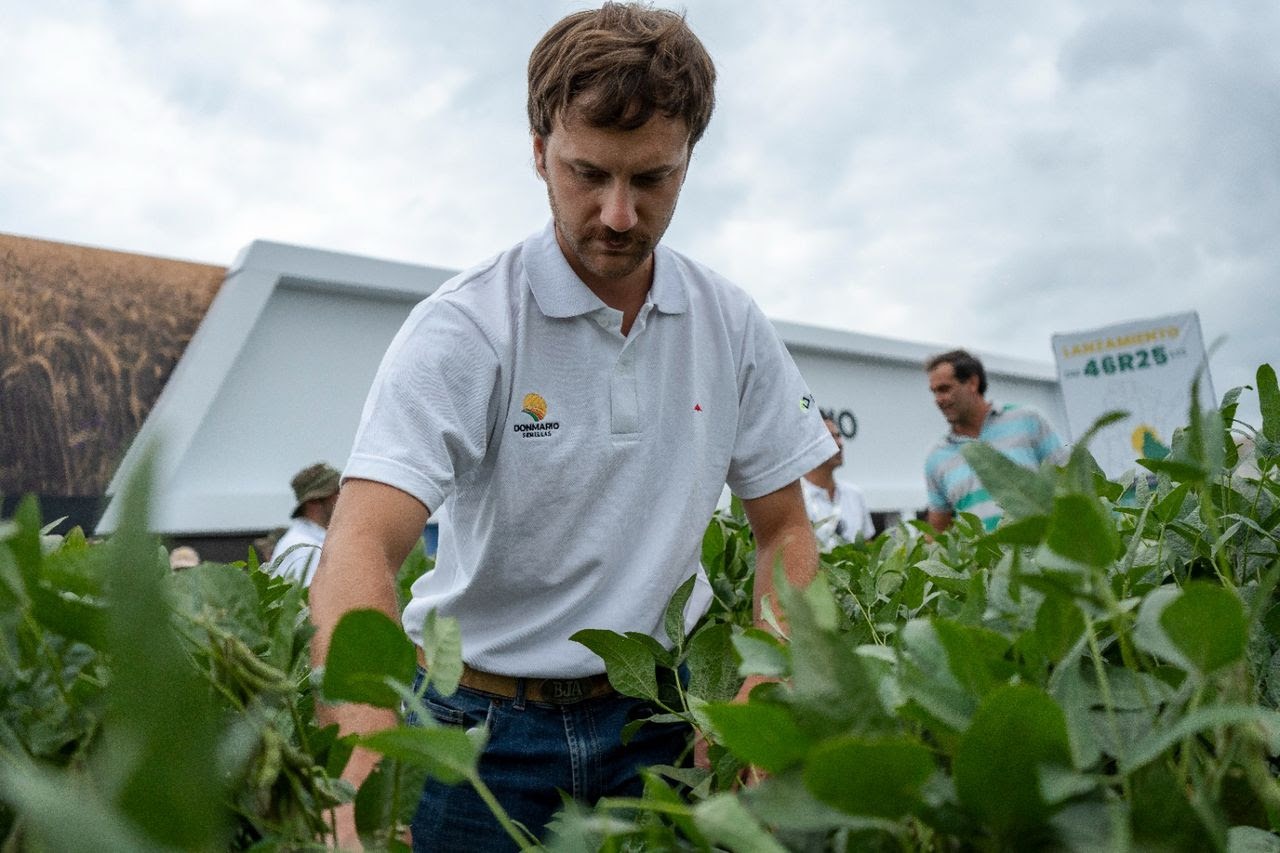 DON MARIO presenta su estrategia varietal para soja de segunda