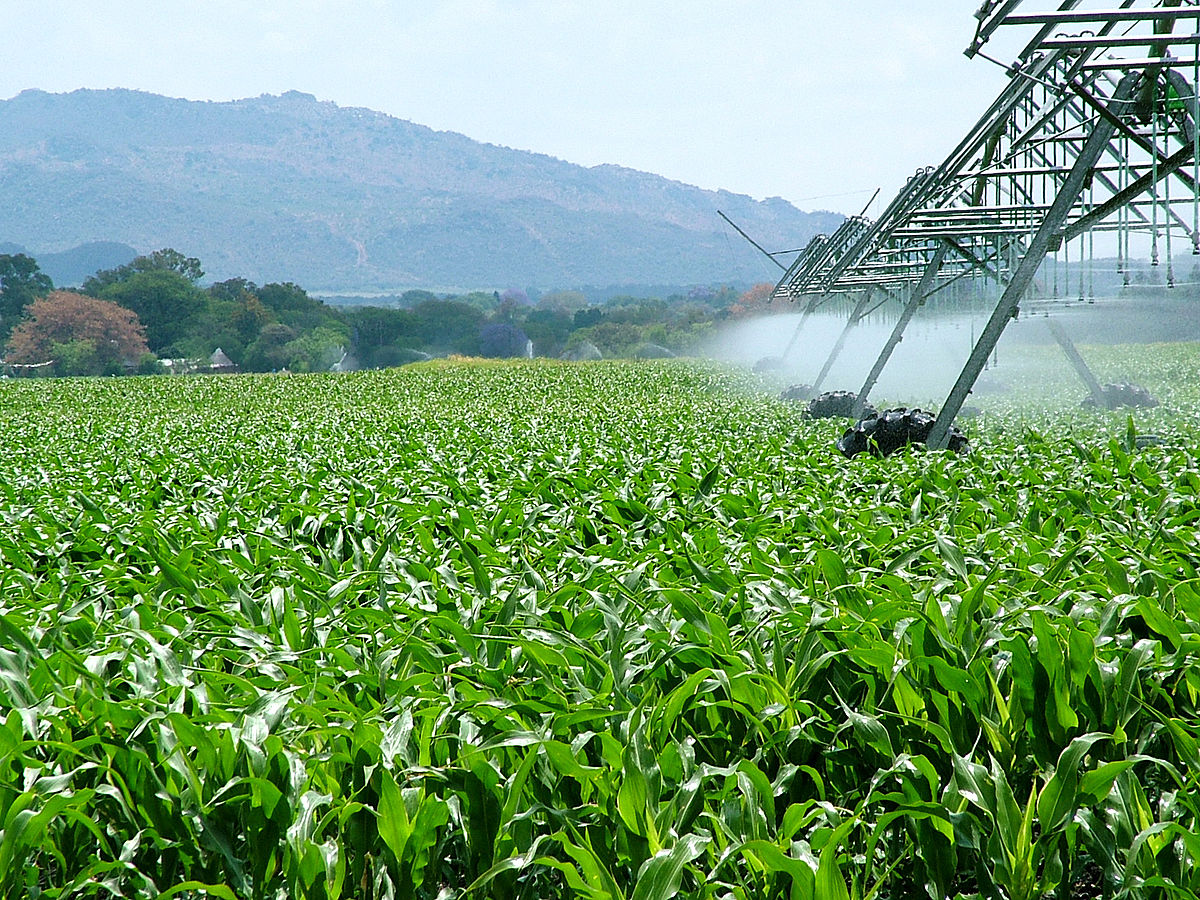 La agroindustria argentina tiene capacidad de responder al desafío energético