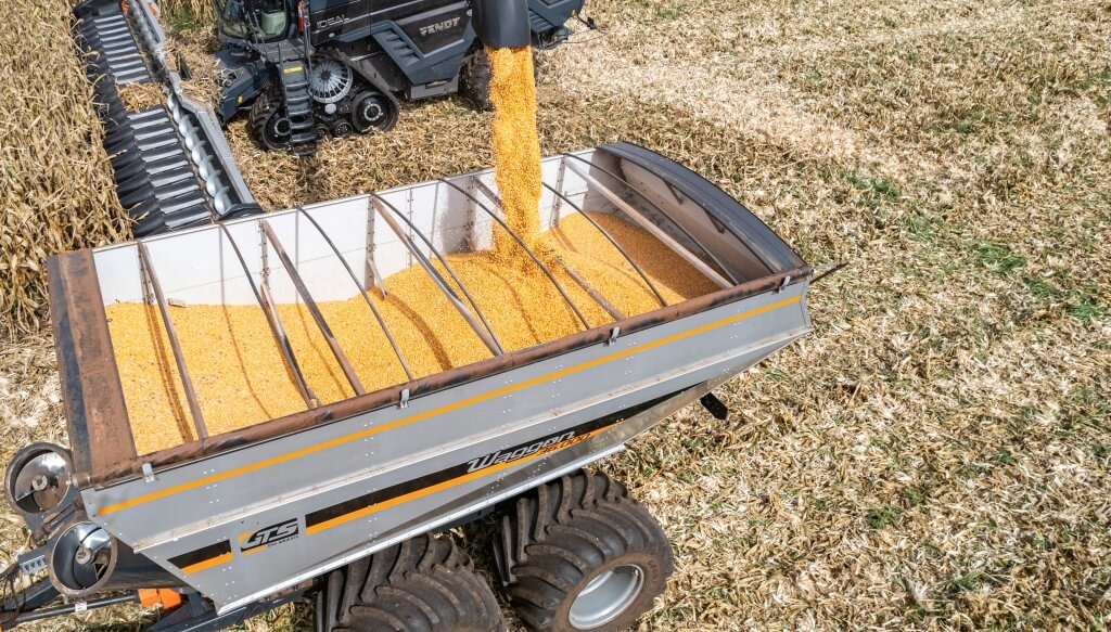 Remate del primer lote de Maíz: un evento clave para iniciar la campaña comercial