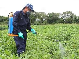 CASAFE: Innovación y buenas prácticas en el uso de fitosanitarios